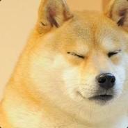 Doge's - Steam avatar