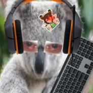 Koalaiscool's Stream profile image