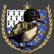 Linkiwi's Stream profile image