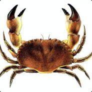 Barbaric_crab's Stream profile image