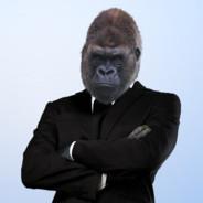 King Kong's Stream profile image