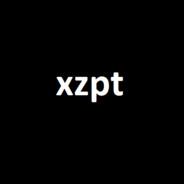 xzpt's Stream profile image