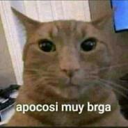 zAxel_'s Stream profile image