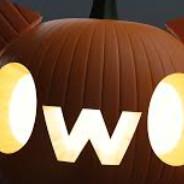 OwO Pumpkin's - Steam avatar