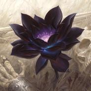 Hoa Sen's Stream profile image