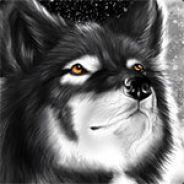 Volf's Stream profile image