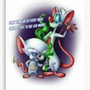 Pinky and the Brain's Stream profile image