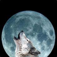 Grey Wolf's - Steam avatar