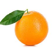 ⊆ orange ⊇'s Stream profile image