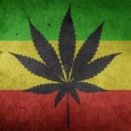 Jamaica's Stream profile image