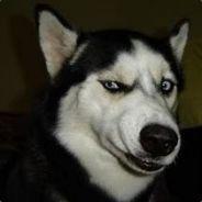 1337n00b's Stream profile image