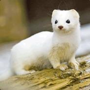 Yotemeister's Stream profile image