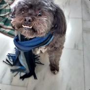 Albert_Brais's Stream profile image