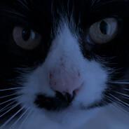 Hermoso Cariño U.U's Stream profile image