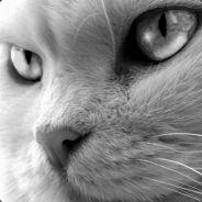 [COBRA] LowkeySuccess's Stream profile image