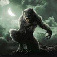 WereWWolF94's - Steam avatar