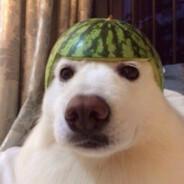 Kuzma's Stream profile image