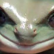 el froggo, lord of darkness's Stream profile image