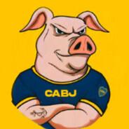 Dario Barros Schebarros's Stream profile image