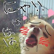 Pokimafenet's Stream profile image