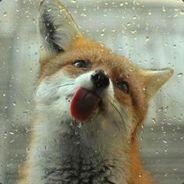 OddFox's - Steam avatar