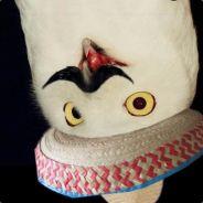 StiffNipples's - Steam avatar