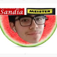 SandiaMei$ter's Stream profile image