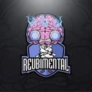 Reubimental's Stream profile image