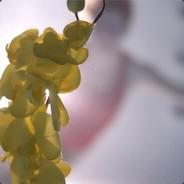 Giga's - Steam avatar