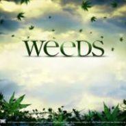 JahJahWeed's - Steam avatar