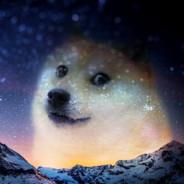 Doge's Stream profile image