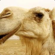 Lord Camel's Stream profile image