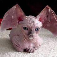 Pilz(o.O)'s - Steam avatar