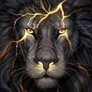 soane.taffin's Stream profile image