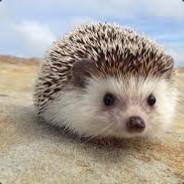 ladykatkat's Stream profile image