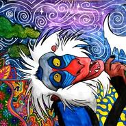 Napalm's Stream profile image