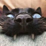 The CaT is a lie's - Steam avatar