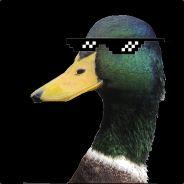 choboDuck's Stream profile image