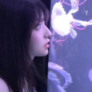 讨厌吃芹菜's Stream profile image