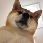 Sednan's Stream profile image