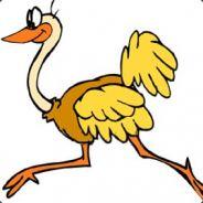 alesao's Stream profile image
