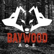 BayWood_aoe's - Steam avatar