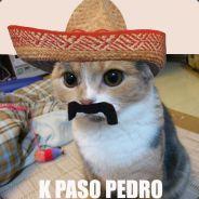 Es Pablo's Stream profile image