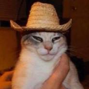 Teletrece's Stream profile image