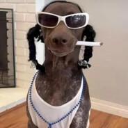 mr.Scoofsky's Stream profile image