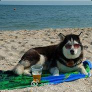 HydroCroissant's - Steam avatar