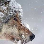 ForellenLord's - Steam avatar