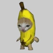 Banana Cat's Stream profile image