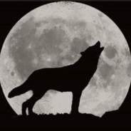 Moon Dog's - Steam avatar
