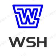 Epiphany-WSH's Stream profile image